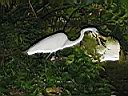 IMG_0137.jpg